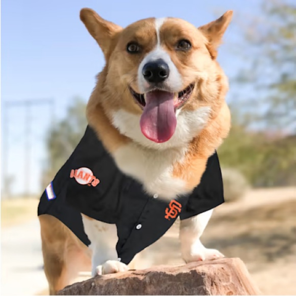 LMT: Pets First MLB National League West Jersey for Dogs, San Francisco Giants